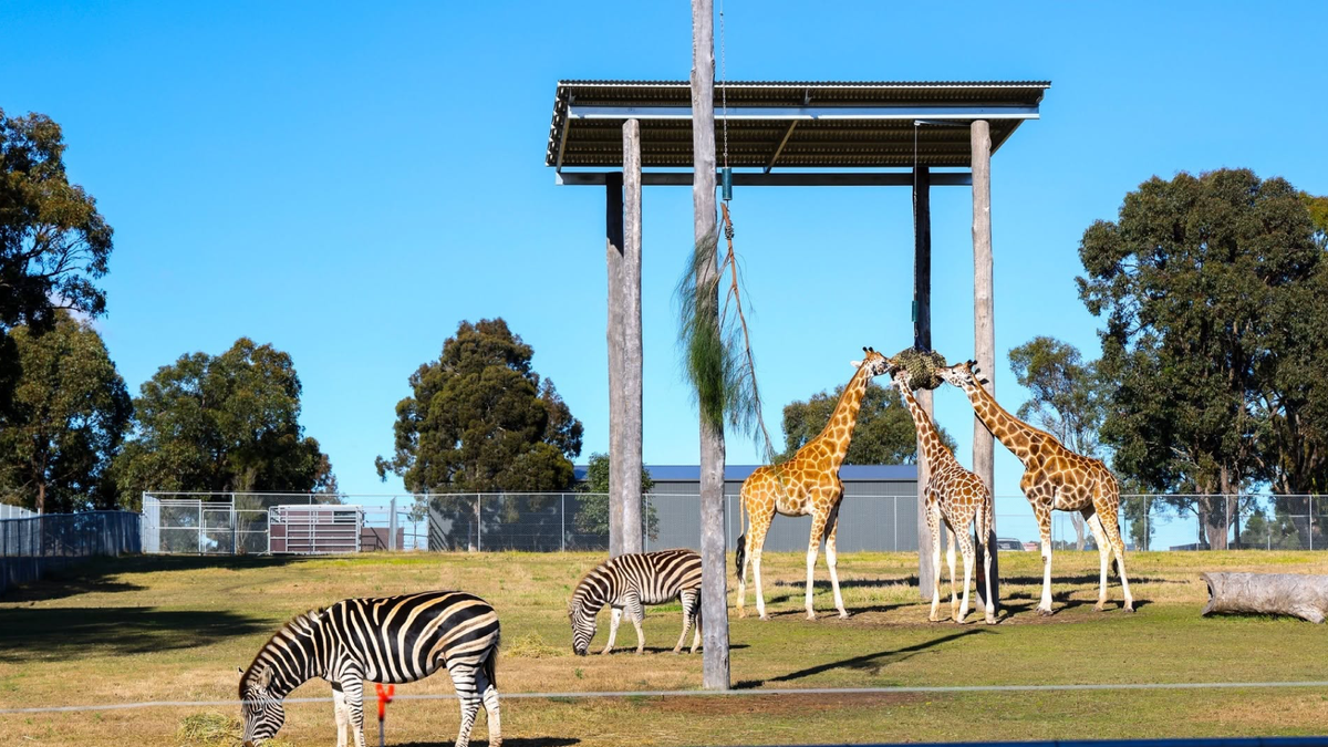 the ultimate hunter valley school holiday guide: fun for the whole family