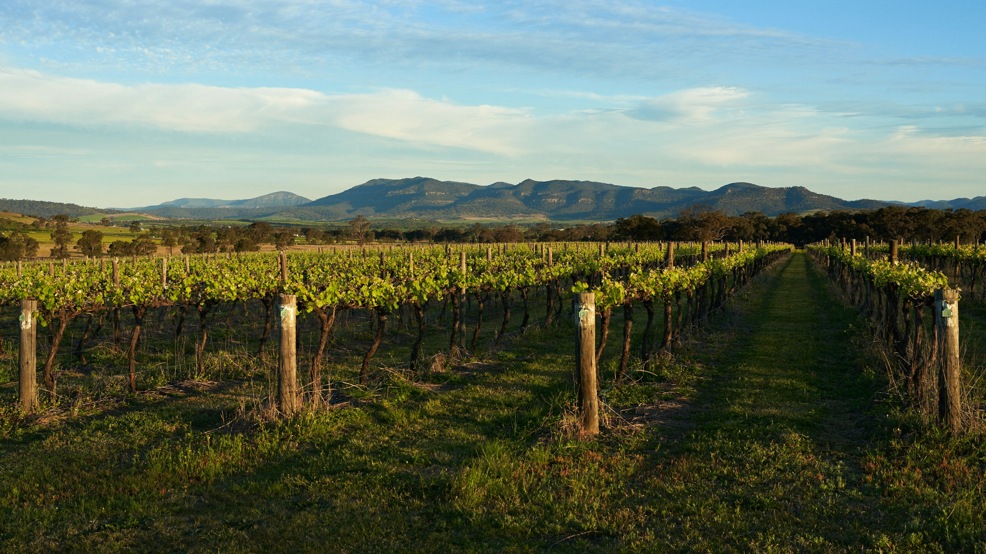 how we’d spend the perfect day in the hunter valley