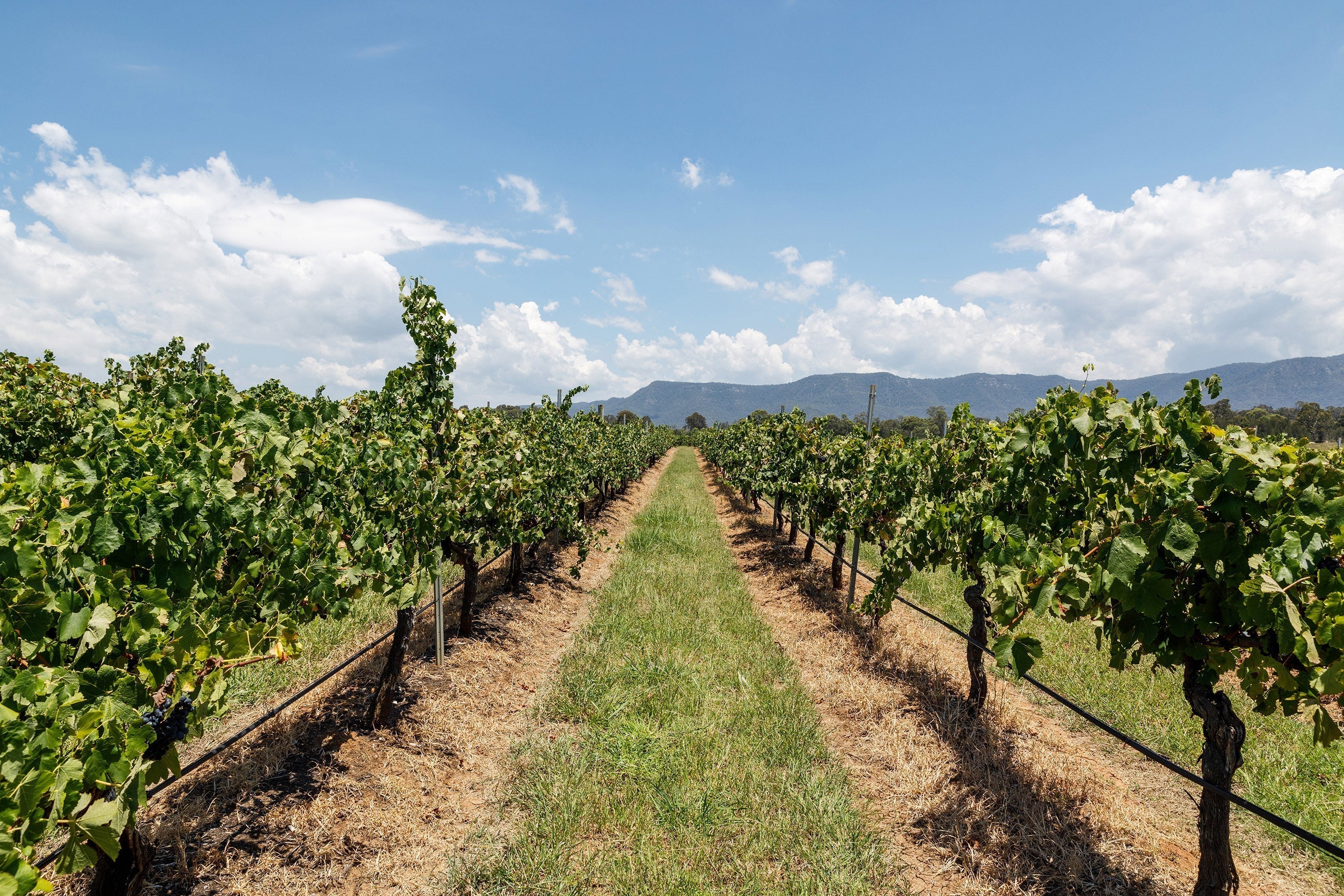 where to stay when you visit us – our local favourites